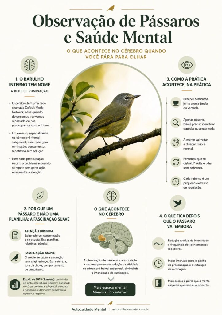 observação de pássaros saúde mental